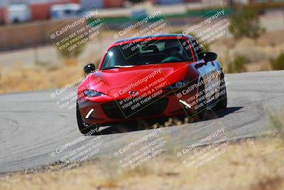 media/Mar-08-2025-Extreme Speed (Sat) [[4abb97269e]]/Purple/Turns 2  and  4 (Session 2)/